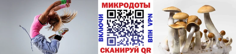 Купить закладки  Коряжма  Псилоцибиновые грибы GOLDEN TEACHER 